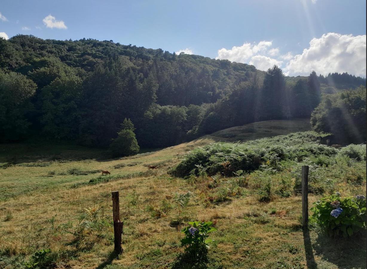 Chalet Charmant A Saint-Sylvestre Avec Terrasse Et Jardin Ambazac Екстер'єр фото